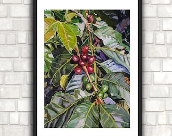 Coffee Plant Art Print, Botanical Art Gift, Medellin Colombia, Concordia,  South America Gwen Meyerson
