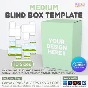 Medium Blind Box Canva Template Editable DIY Surprise Gift Box for Him