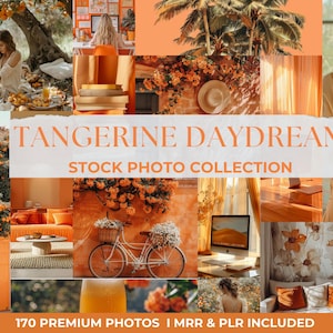 Stockfoton | Instagram-bilder Ansiktslös digital marknadsföring | Ansiktslösa foton Innehåll MRR & PLR PhotoBundle | DFY Orange Stockfoton