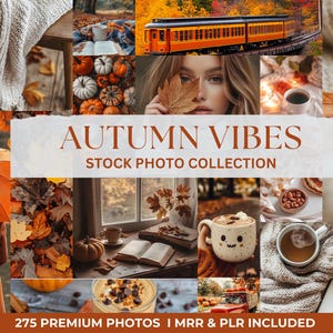 Stock Photo Collection  l 275 Fall Stock Photos l Autumn Stock Photo Bundle lAesthetic Photos |Social Media Content l Master Resell Rights