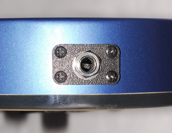 Ibanez RG 421 EX (and Gio) Electric Guitar Output Jack Plate, Will