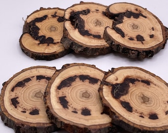 Hickory wood buttons-6 pc set