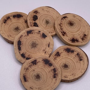 Hickory wood butons-6 pc set