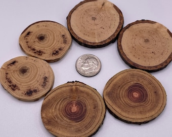 Assorted wood buttons-6 pc set