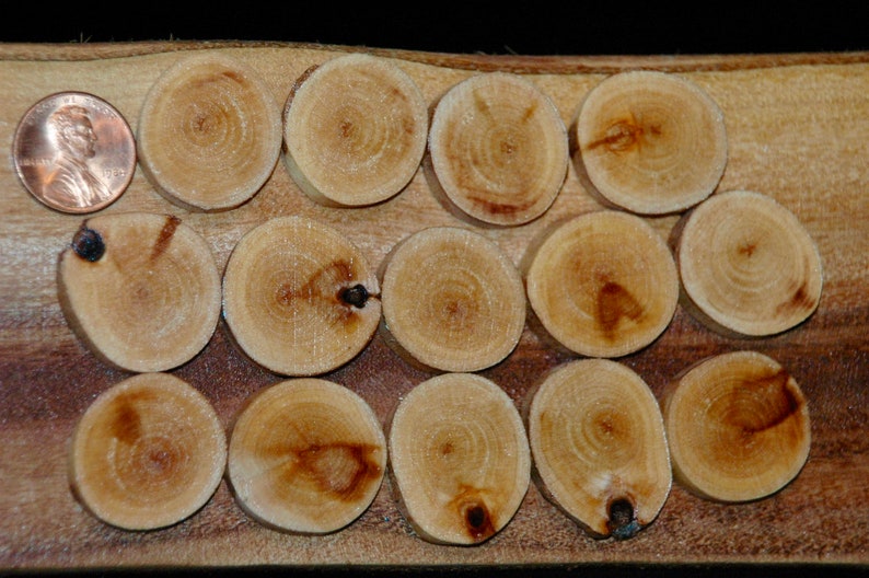 Paper Birch wood buttons 14 pc set