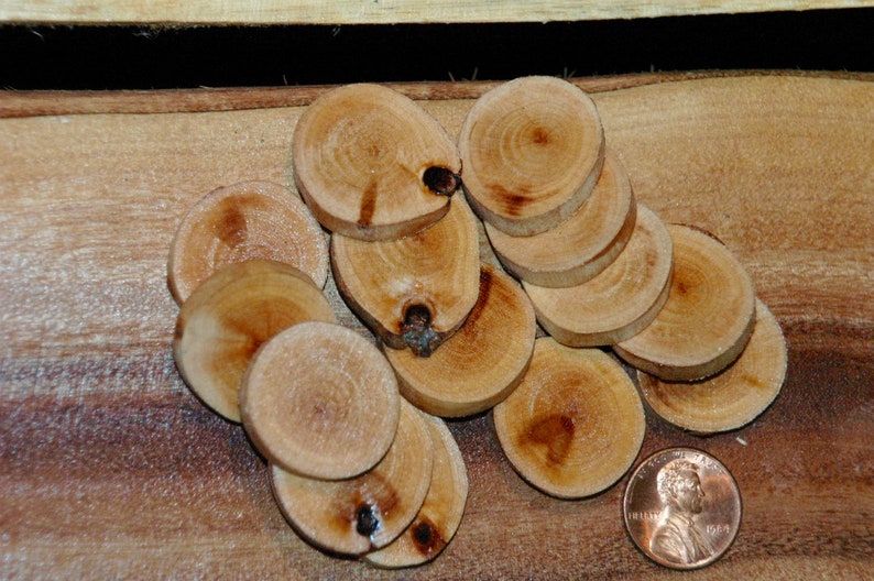 Paper Birch wood buttons 14 pc set