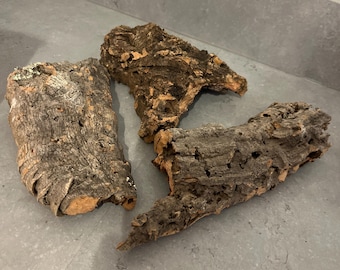 3 Pieces of Hamster Cork Clutter