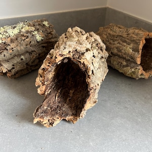 May include: Three hollow, cylindrical pieces of natural cork bark with rough, textured brown exteriors. One piece features patches of light green lichen on its surface. Each piece has a dark, hollow interior and irregular, jagged edges.