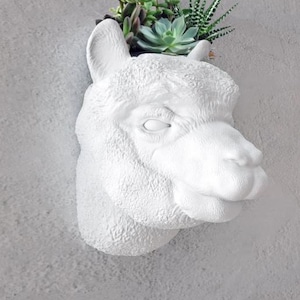 Llama Head Wall Mount Planter - Succulent Planter - Flower Pot