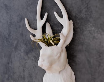Jackalope Head Wall Mount Planter - Succulent Planter - Flower pot