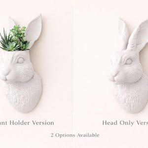 May include: White rabbit head wall decor, available as a plant holder or head-only version. The plant holder version features a cavity filled with green succulents. The head-only version is a simple, elegant design.