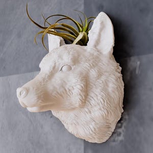 Fox Head Wall Mount Planter - Succulent Planter - Flower Pot