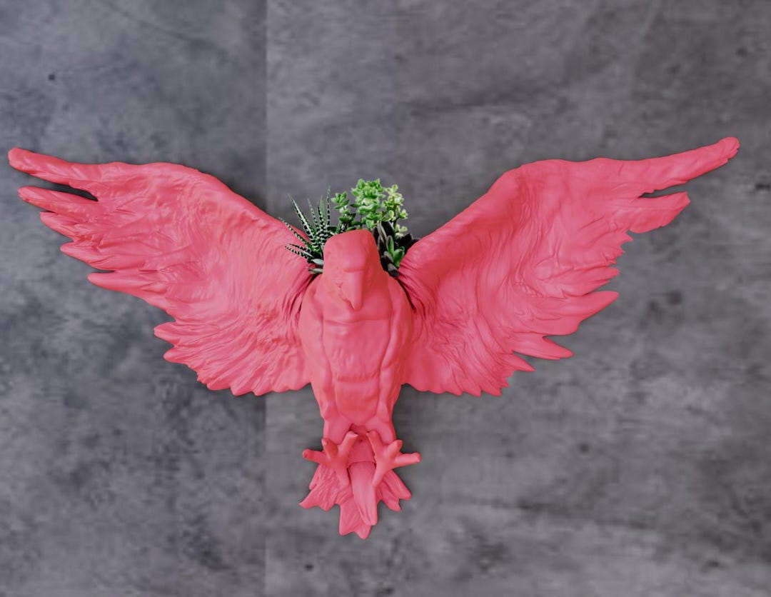 Macaw Parrot Wall Planter - Succulent Planter - Flower Pot - Etsy - Colorful Macaw Enclosures With Plants
