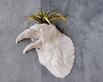 Raven Head Crowing Wall Mount Planter - Succulent Planter - Flower Pot