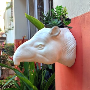 Tapir Head Wall Mount Planter - Succulent Planter - Flower Pot