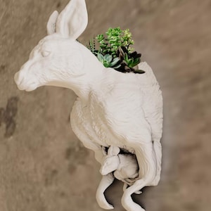 Känguru mit Kalb Wandhalterung Pflanzgefäß - Sukkulenten Pflanzer - Blumentopf