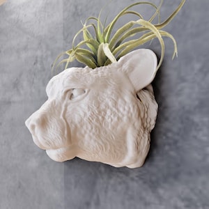 Cheetah Head Wall Mount Planter - Succulent Planter - Flower Pot