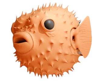 剥製 フグ とげとげ フグ 保存版 海洋生物 装飾品 8インチ - Etsy 日本