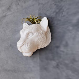Jaguar Leopard Head Wall Mount Planter - Succulent Planter - Flower Pot