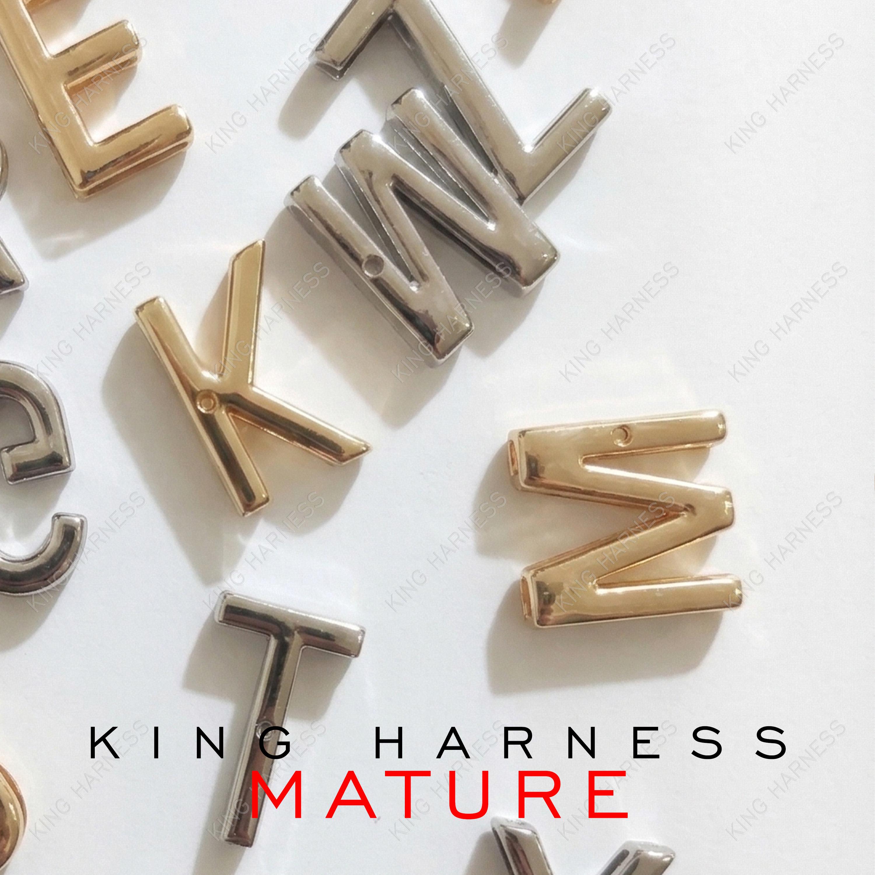 30mm Metal Slide Letters for Custom Collars, Personalized Alphabet ...