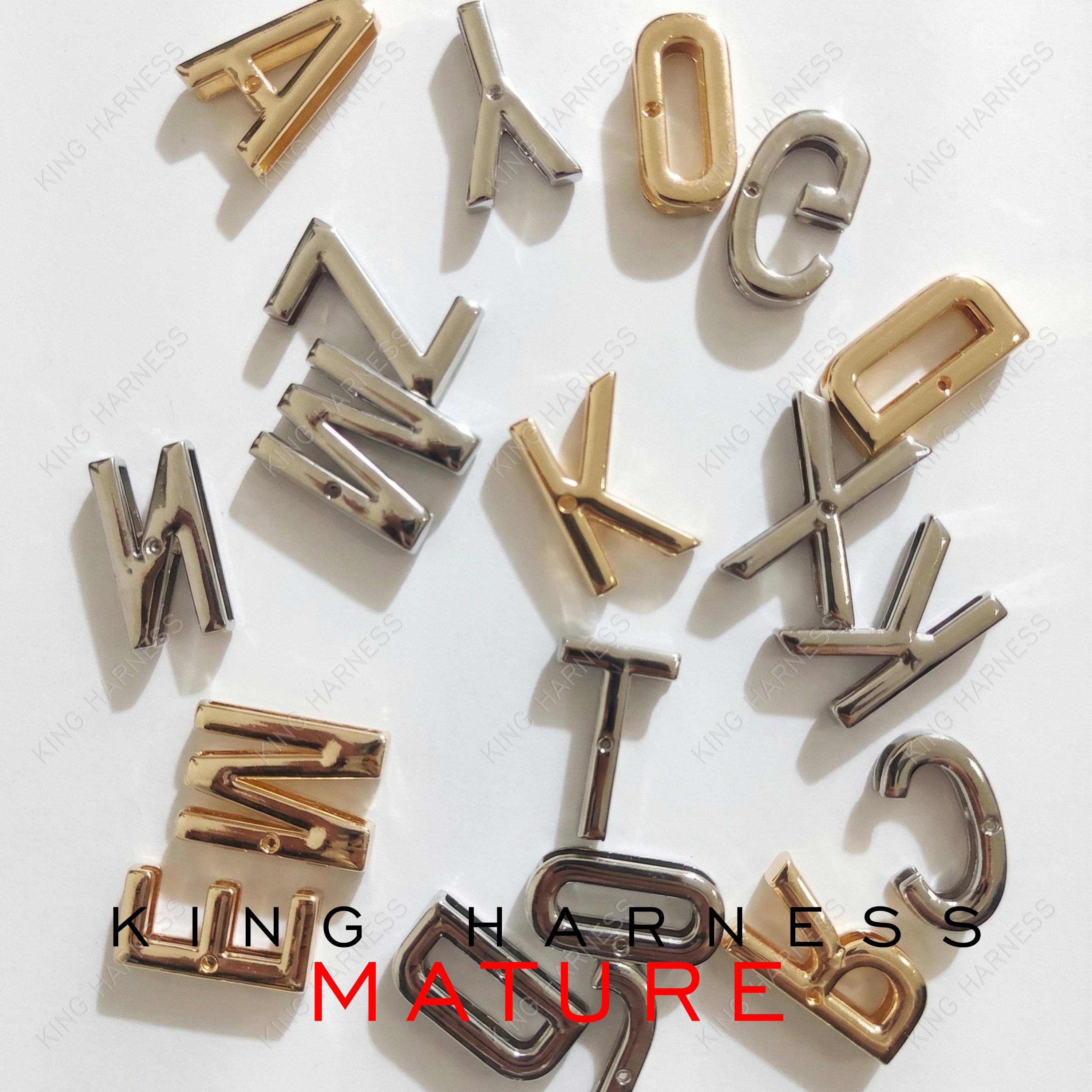 30mm Metal Slide Letters for Custom Collars, Personalized Alphabet ...