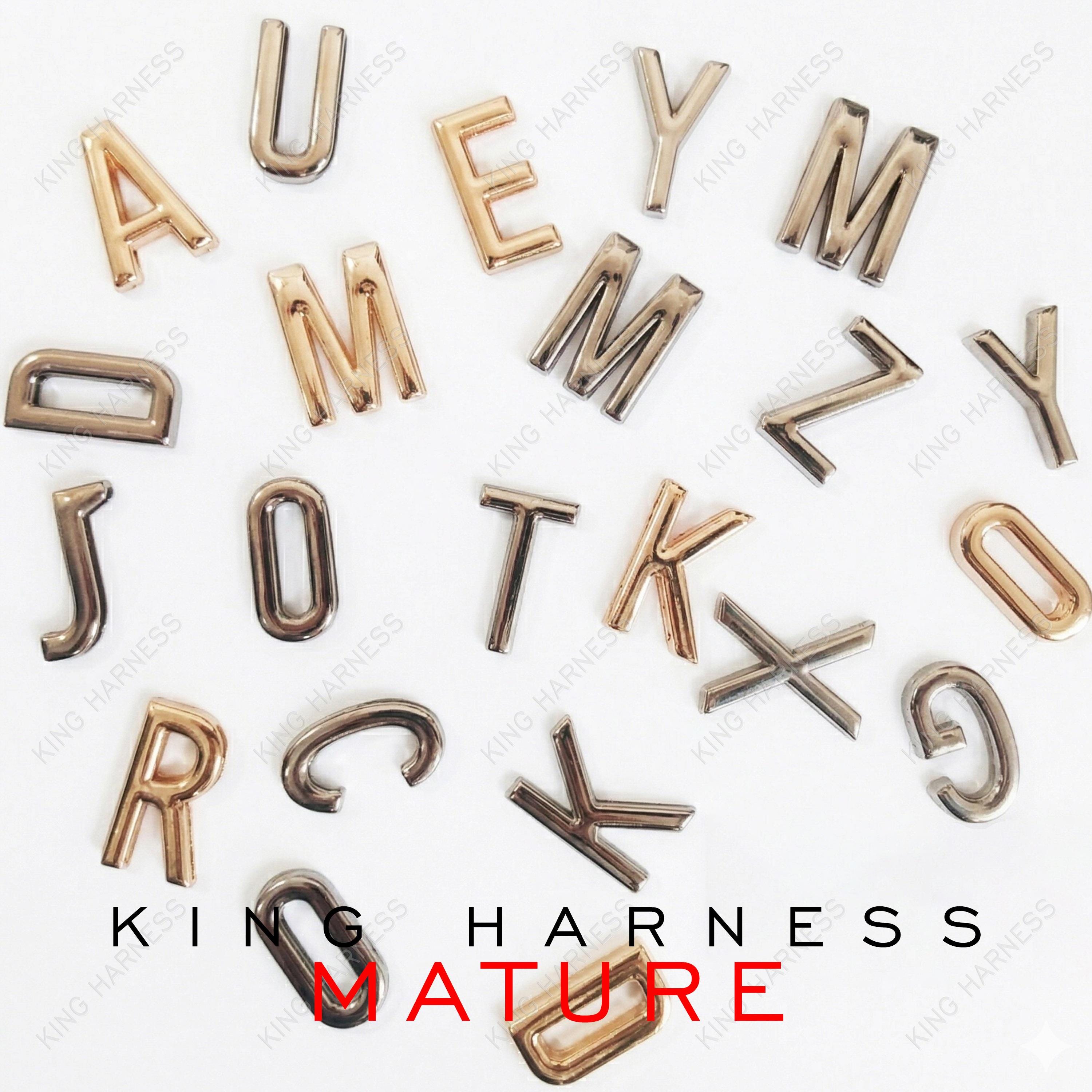 30mm Metal Slide Letters for Custom Collars, Personalized Alphabet ...