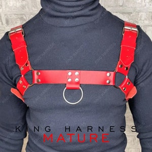 May include: Red leather harness with silver metal rings and buckles.