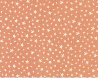 owl o ween 31196-13|| Moda Fabrics