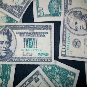 May include: Close-up of a fabric with a pattern of United States currency. The bills are in various denominations, including twenty and ten dollar bills, with portraits of historical figures and green and black ink.