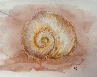 A. Moon snail shell watercolor print