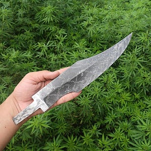May include: A silver-colored, patterned blade with a long, curved edge. The blade has a textured surface and a rectangular tang. The background is a field of green plants.