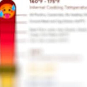 May include: A white paper with a red and yellow thermometer graphic and the text "160°F - 175°F Internal Cooking Temperature". The thermometer has a sweating emoji at the top. The paper has additional text.