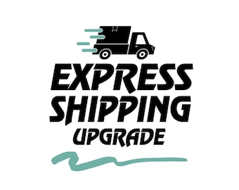 May include: Black and white graphic of a delivery truck with speed lines, above the words "EXPRESS SHIPPING UPGRADE" in bold, black letters. A teal colored squiggly line is below the text.