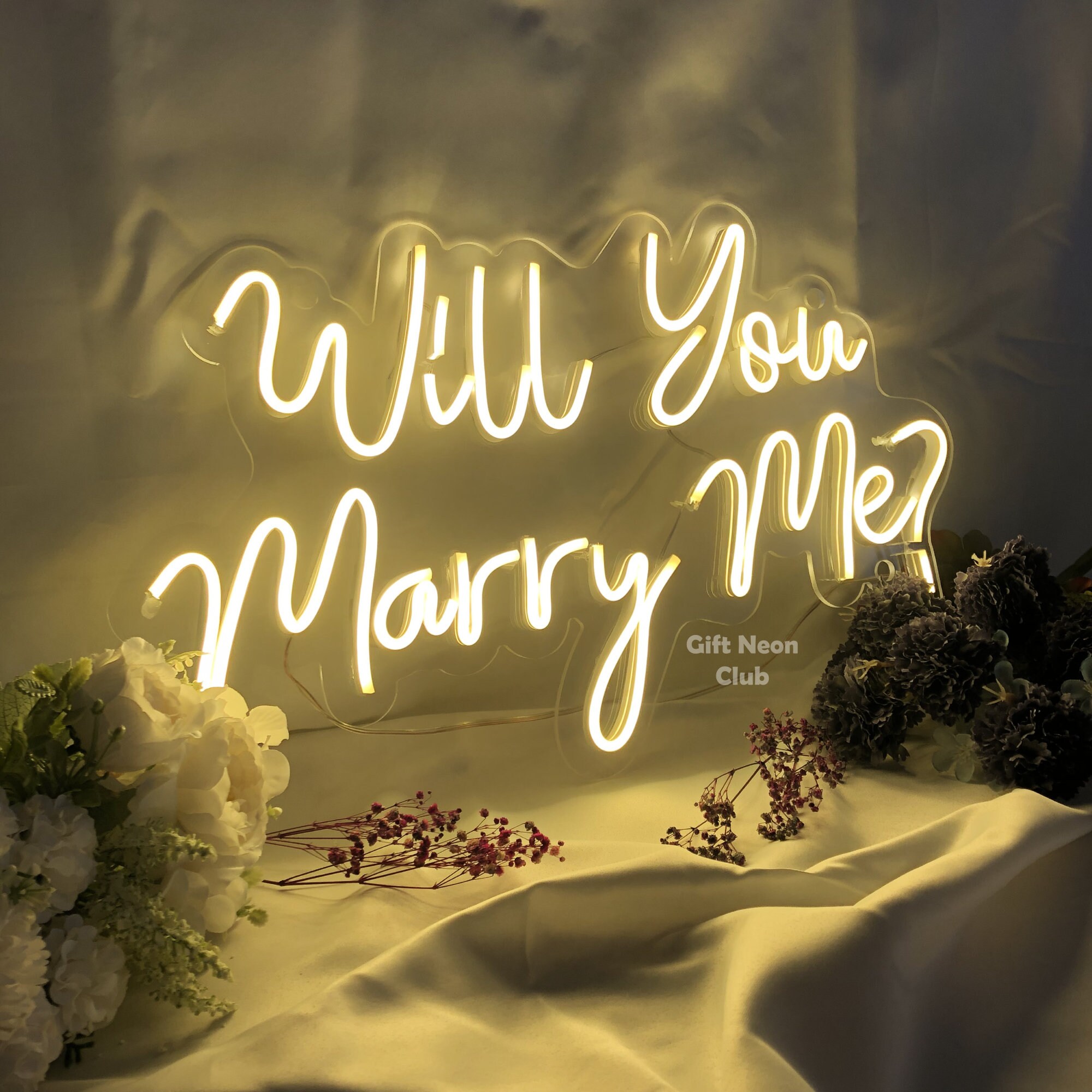 Will You Marry Me Neon Sign: Marriage Proposal Decor, Battery