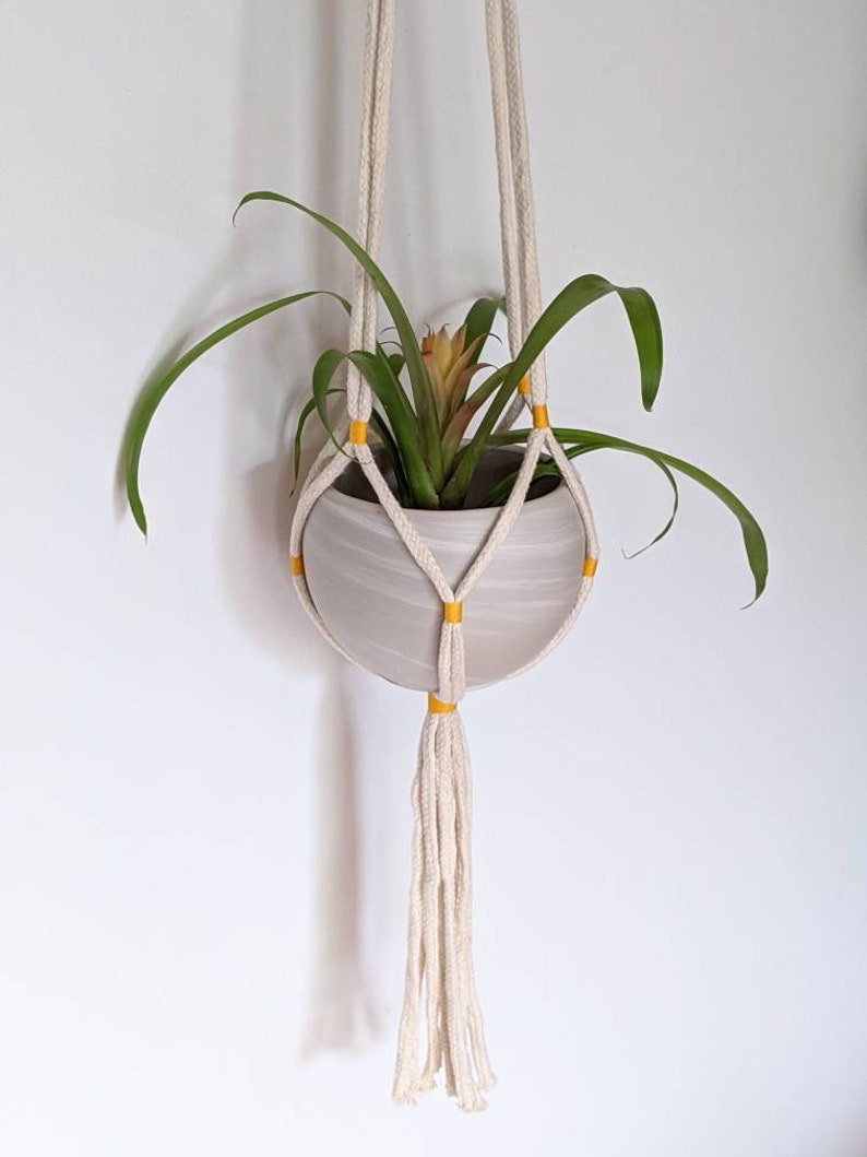 May include: A white macrame plant hanger with yellow accents holds a white ceramic pot with a green plant and a yellow flower.
