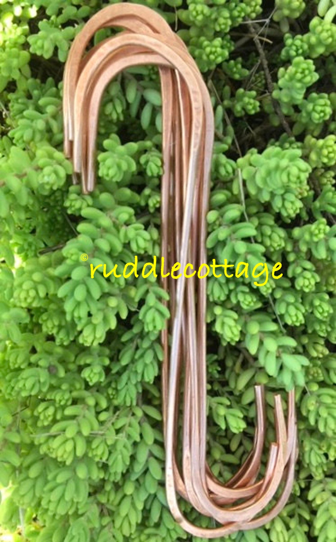 Copper Hooks, Copper Garden Hooks, Light Weight Elongated S Hook,single