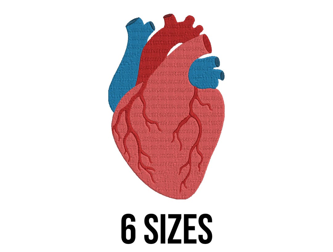 Human Heart Embroidery Design - Heart Embroidery Design - Realistic ...