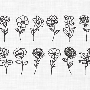 May include: A set of 12 black and white line drawings of various flowers and plants. The flowers include a carnation, daisy, rose, lily, poppy, and more.