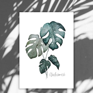 Postkarte "Monstera - Glückwunsch" (105mm x 148mm)