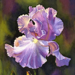 Purple Iris art watercolor painting print by Cathy Hillegas, 8x10 watercolor iris print, gift under 30, valentines day gift for her