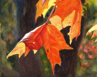 Red Yellow Orange Autumn Leaves Watercolor Painting Print by Cathy Hillegas, Vertical 8x10 Autumn Wall Art
