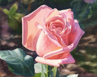 Peach Pink Rose Watercolor Original Painting by Cathy Hillegas, 16x21 vertical watercolor rose painting, rose home decor, peachy hot pink