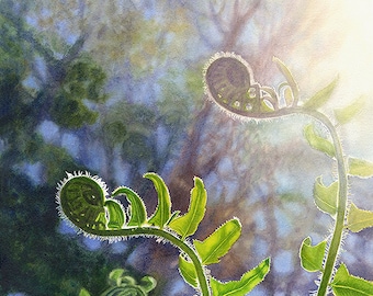 Ferns Watercolor Painting Print by Cathy Hillegas, 8x10 woodland art print,, healing art, watercolor ferns, green art, gifts under 30