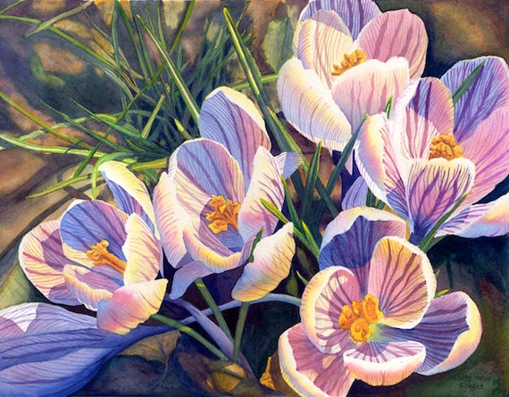 Crocus Art Watercolor Painting Print by Cathy Hillegas, 8x10, watercolor flowers, spring flowers art, purple, blue, green, yellow, brown