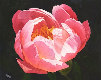 Hot Pink Peony Original Watercolor Painting by Cathy Hillegas, peony home decor, gifts for women, gifts for gardeners