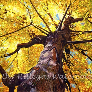 Autumn tree watercolor painting print by Cathy Hillegas, 12x16 watercolor print, gold, yellow, orange, blue, purple, brown, maple tree