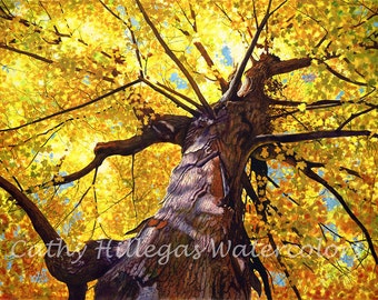 Autumn tree watercolor painting print by Cathy Hillegas, 12x16 watercolor print, gold, yellow, orange, blue, purple, brown, maple tree