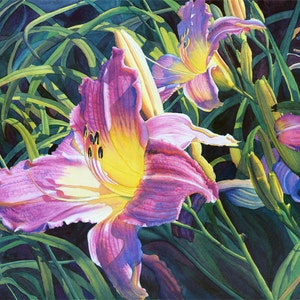 Daylily Art Watercolor Painting Print by Cathy Hillegas, 8x10 daylily watercolor print, watercolor flowers