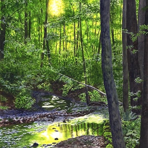 Forest Creek Watercolor Painting Print, Sunlight Through Trees