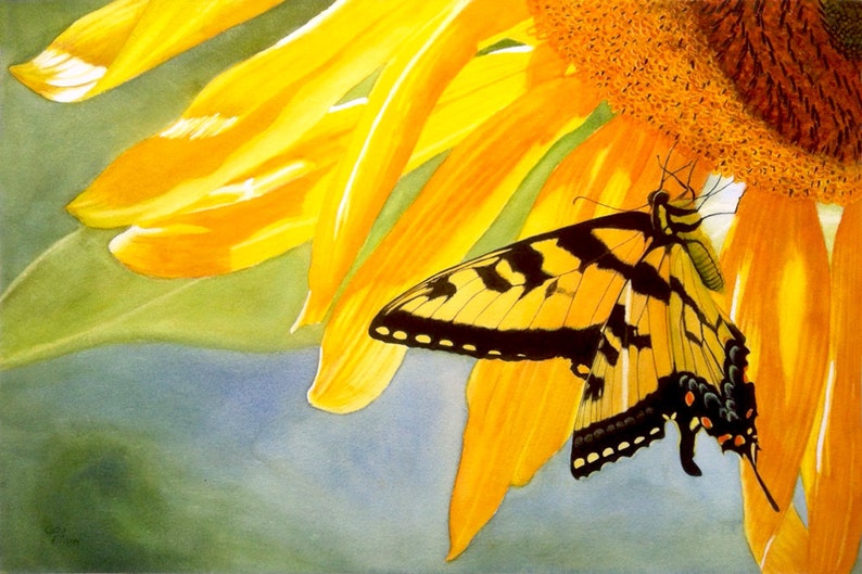 Tiger Swallowtail Butterfly Art Watercolor Painting Print by Cathy Hillegas, 7x10 floral watercolor print, yellow Sunflower art 